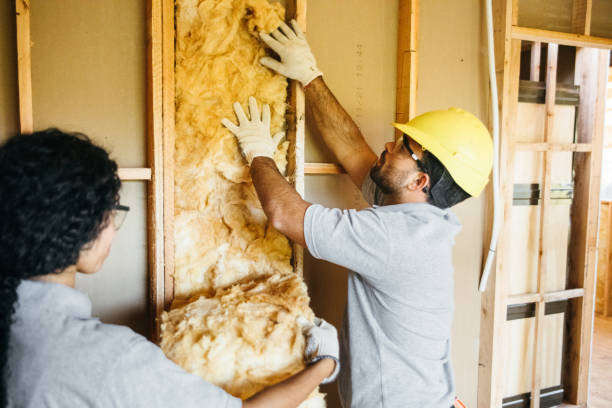 Best Home Insulation Services  in Airy Heights, WA
