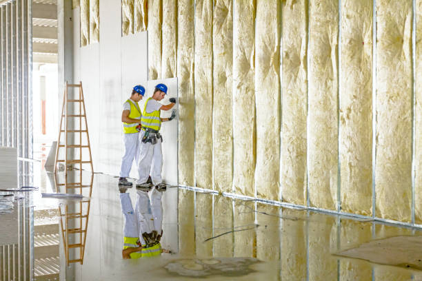 Best Insulation Repair Services  in Airy Heights, WA